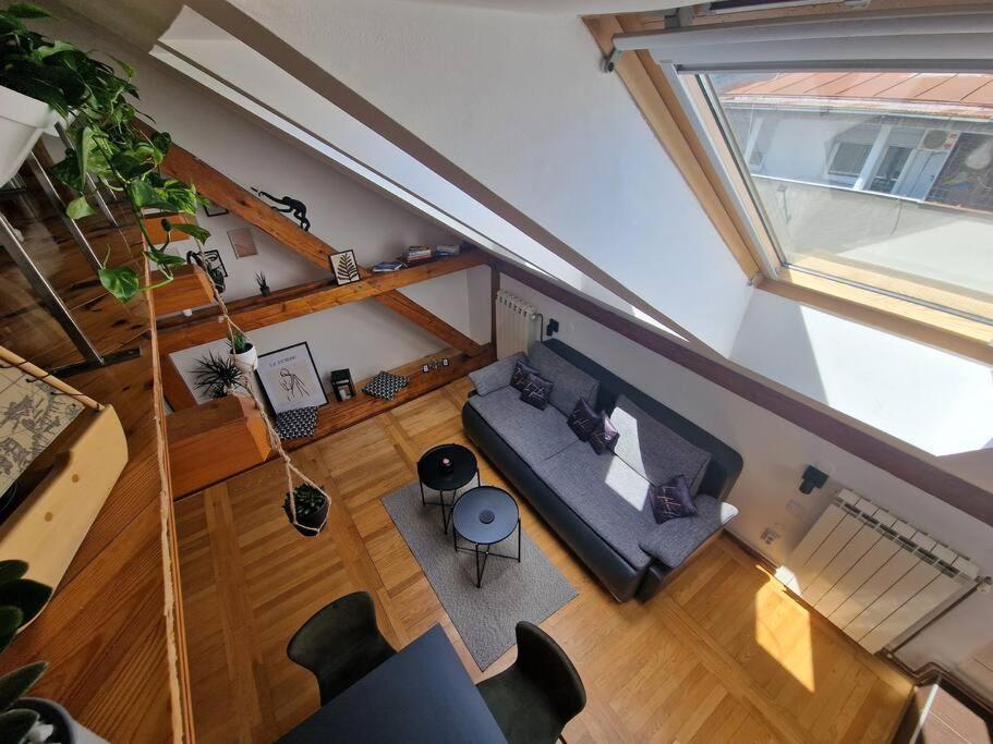 Captain Misha'S Place بلغراد المظهر الخارجي الصورة