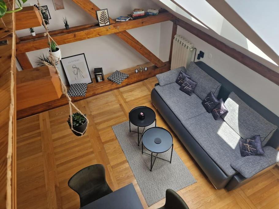 Captain Misha'S Place بلغراد المظهر الخارجي الصورة
